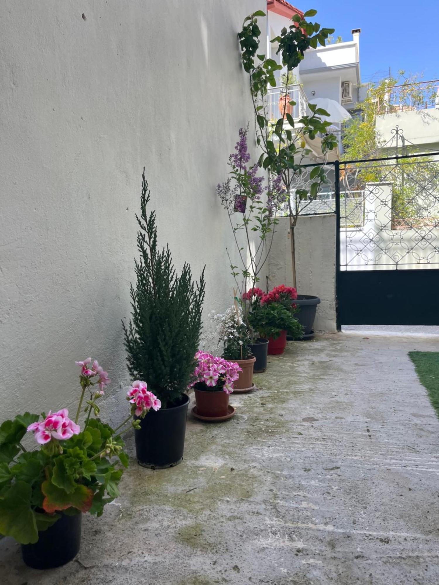 Noa - Designed Garden Studio In The City Center 칼라마타 외부 사진